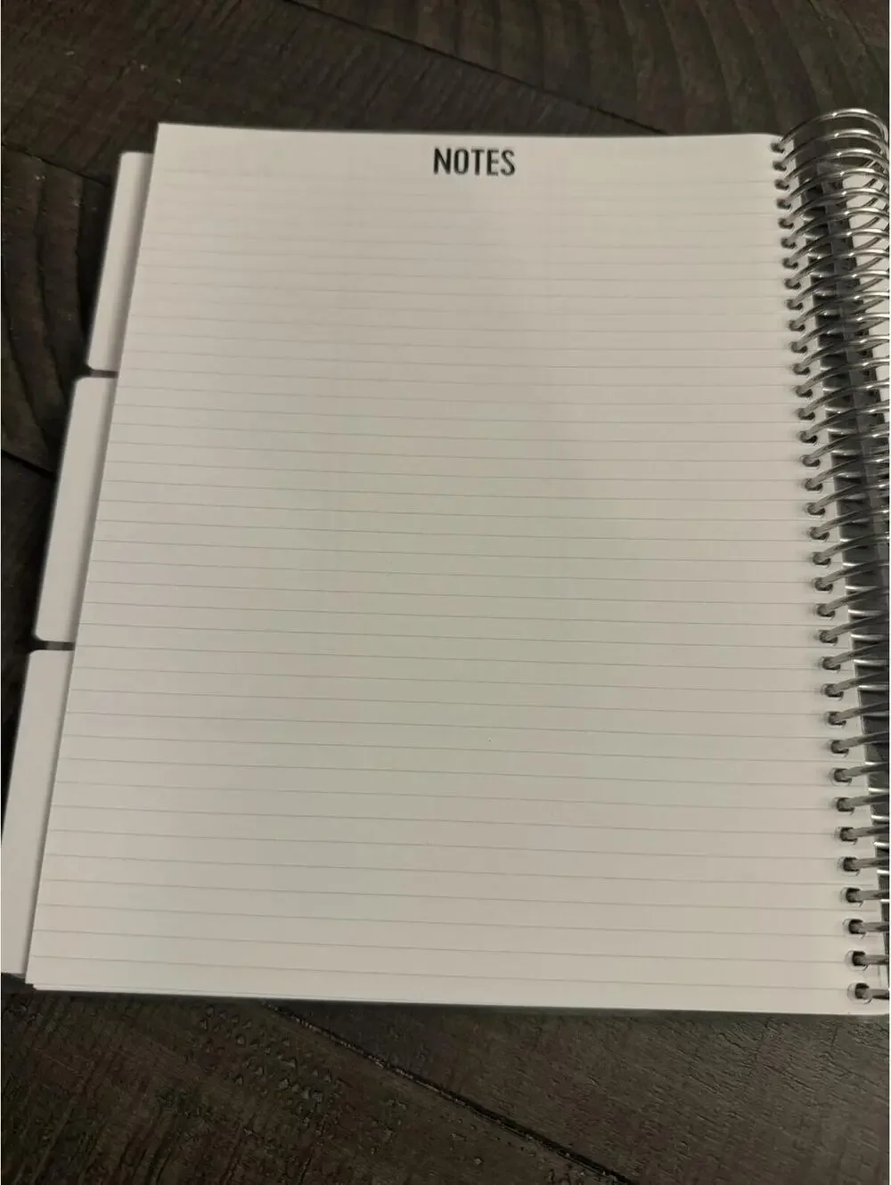 Cocoa Daisy Undated weekly/monthly planner